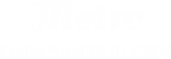 Metro Pinjaman Berlesen